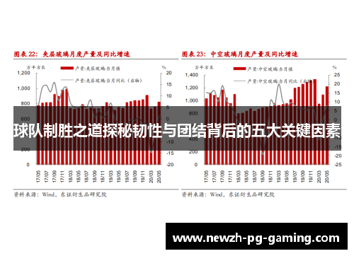 球队制胜之道探秘韧性与团结背后的五大关键因素