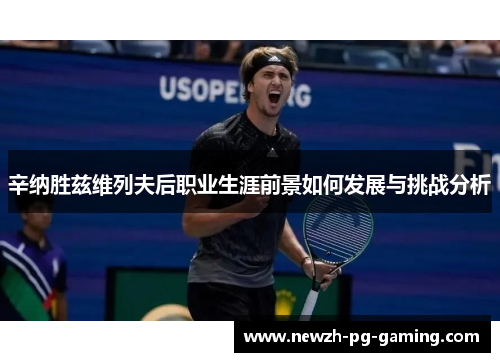 辛纳胜兹维列夫后职业生涯前景如何发展与挑战分析