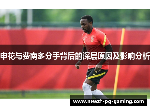 申花与费南多分手背后的深层原因及影响分析